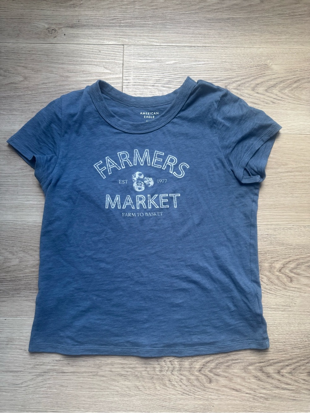 American Eagle Blue 'Farmers Market' Baby Tee